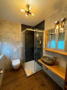 a bathroom with a shower and a toilet and a sink at Heidekönig Hotel Celle in Celle