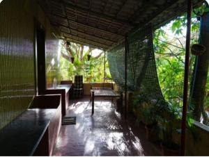 Κήπος έξω από το The Whistling Pine Woods