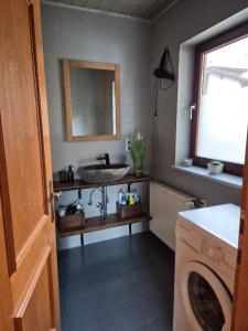 łazienka z umywalką i pralką w obiekcie Apartment Ad Alta - Flattach w mieście Flattach