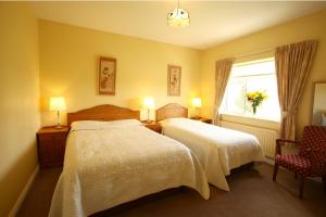 1 dormitorio con 2 camas, ventana y silla en Brooklodge Bed and Breakfast, en Westport