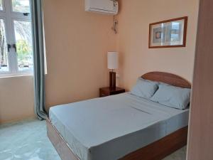 a bedroom with a bed and a window at Labour Villa in Mahébourg