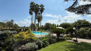 a swimming pool in a garden with palm trees at Villa Valentina in Bracciano