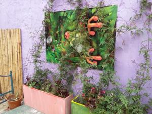 a wall with a bunch of plants and carrots at Hospedaje La Rana in Buenos Aires