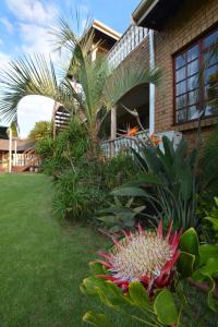 Κήπος έξω από το Kairos Home