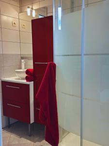 a bathroom with a red towel hanging on a glass door at Le cocon bleu, duplex cosy et lumineux in Précy-sur-Oise +8 photos