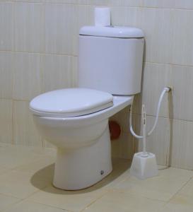 a toilet with a roll of toilet paper on it at EKO Holiday Homes, Lake Chala in Taveta +23 photos