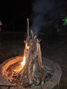 eine Feuerstelle mit Brennholz und Flammen darin in der Unterkunft Dandeli Dreams in Kurandi
