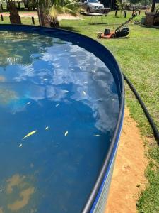 Una piscina con agua azul en un patio. en The Grove, en Potchefstroom