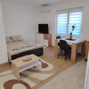 Et tv og/eller underholdning på Elena Airport Apartments