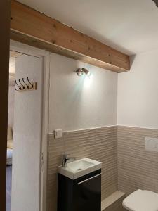 ein Badezimmer mit Waschbecken und Toilette in der Unterkunft Le repaire de l'horloger in Maîche