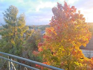 GaßFerienwohnung Kleine Auszeit im Hunsrück的相册照片