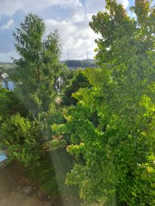 eine Draufsicht auf Bäume und ein Gewässer in der Unterkunft Ferienwohnung Kleine Auszeit im Hunsrück in Gaß