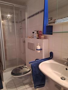 GaßFerienwohnung Kleine Auszeit im Hunsrück的浴室配有淋浴和洗手池