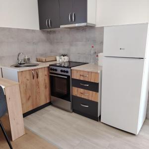 Køkken eller tekøkken på Elena Airport Apartments