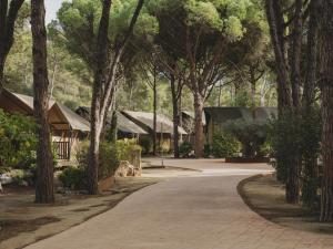 Nabolaget omkring campingpladsen eller i nærheden