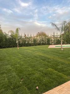 San Costantino CalabroL'eden di Nicolas的一片长满棕榈树的草地和一个公园