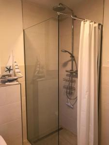 a glass shower with a shower curtain in a bathroom at Strandhaus Appartement - Seeschwalbe OG in Fehmarnsund