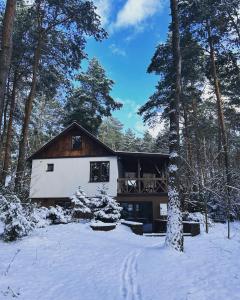 Masuria Warsaw - dom na wyłączność - w lesie i przy rzece - 15 min od Warszawy في Skrzeszew: منزل في الغابة مع ثلج على الأرض