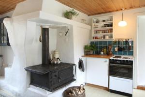 Traditional Swedish House In The Forest في ألمهولت: مطبخ مع موقد قديم في المنتصف