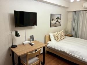 TV a/nebo společenská místnost v ubytování Dash Living Shinjuku + 15 fotografií