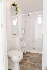 Koupelna v ubytování Chalet in Heinkenszand on holiday park - VP107