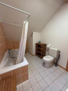 Le Chalet des Vanneaux في كسونبورت-لونجمير: حمام مع مرحاض وحوض استحمام +32 صورة