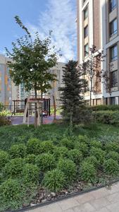 een park met een boom en een speeltuin bij Altair in Simkent