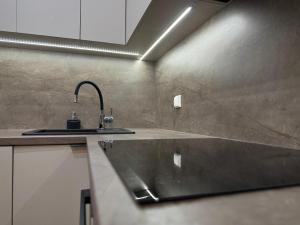 una cucina con un lavello e un bancone di Prywatny Parking przy Starówce Apartament Logan by Rentoom a Toruń Altre 21 foto