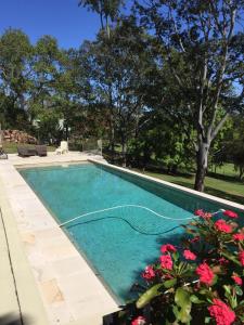 a swimming pool with blue water and pink flowers at Eumundi Guesthouse and B&B in Eumundi