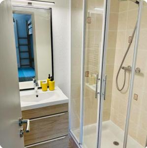 un bagno con doccia e lavandino di Appartement - Mon Cottage ad Argelès-Gazost