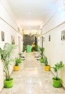 a hallway with potted plants in a building at Vilaasitaa Family Suites in Indore