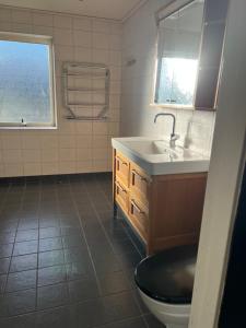 a bathroom with a sink and a toilet and a window at Villa Älva i Sälen in Sälen +29 photos
