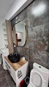 een badkamer met een wastafel, een toilet en een spiegel bij Sara Apartament in Craiova