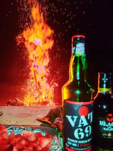 two bottles of beer next to a bowl of fruit at Meemure Nature Camp in Hunnasgiriya