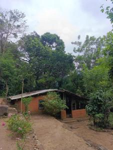 a small house in the middle of a forest at Meemure Nature Camp in Hunnasgiriya