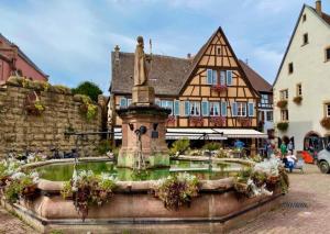 En have udenfor Gîte Bretzel et Grappe