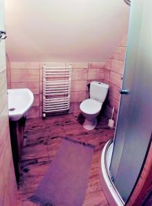 a bathroom with a toilet and a sink at Chatka Bukowina in Wetlina +38 photos