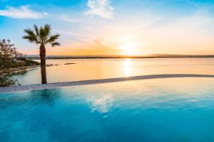 a swimming pool with a palm tree and a body of water at Artemare in Plemmirio