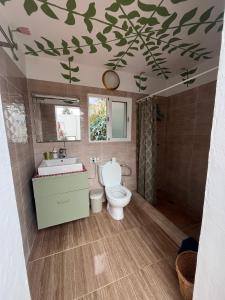 un bagno con un water e un lavandino di Finca Chigora nice rural house near Los Gigantes Sun Room a Santiago del Teide