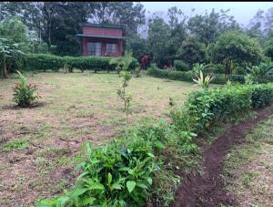 UpalaにあるCabaña Colibríの背景に建物のある家のある畑 +11枚の写真
