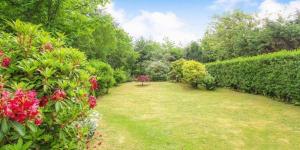 a garden with green bushes and flowers and trees at An Cala in Connel