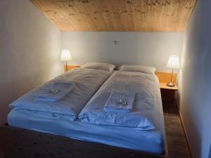 1 cama grande en una habitación con 2 almohadas en Sust Lodge, en Hospental 9 fotos más