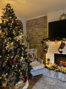 a christmas tree in a living room with a fireplace at Hanul Anei in Braşov