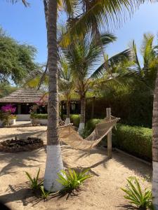 Κήπος έξω από το Campement teranga gandiole