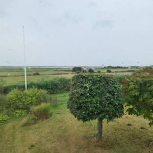 Phong cảnh thiên nhiên gần nhà nghỉ dưỡng