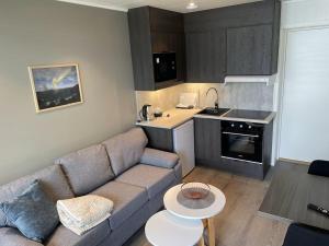 a living room with a couch and a kitchen at Arctic Sea Apartments in Hammerfest