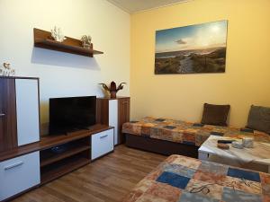 a room with two beds and a flat screen tv at Ferienhaus Hüfler 59 in Kelbra