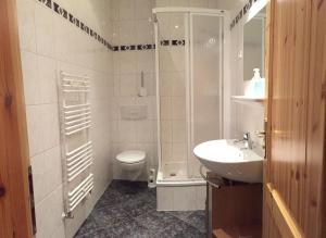 a bathroom with a shower and a toilet and a sink at Bennis Rodelhaus in Oberhof