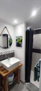 a bathroom with a sink and a mirror at Studio Lindois in Lalinde