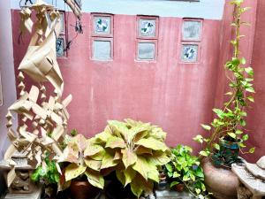 En have udenfor Anne & Tan Stylist Homestay